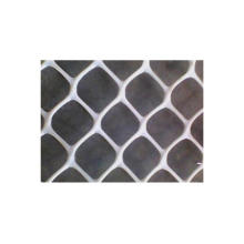 Expanded Plastic Wire Mesh aus der Fabrik